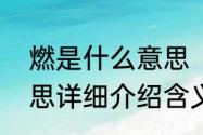 燃是什么意思　网络词“燃”是什么意思详细介绍含义网络出处是什么