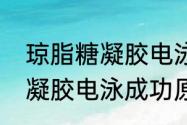 琼脂糖凝胶电泳的原理什么　琼脂糖凝胶电泳成功原因