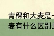 青稞和大麦是一种东西吗　青稞和大麦有什么区别是一回事吗