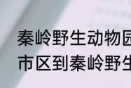 秦岭野生动物园步行游览路线　西安市区到秦岭野生动物园多久