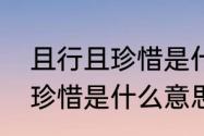 且行且珍惜是什么意思　请问且行且珍惜是什么意思