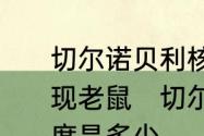 切尔诺贝利核电站周围为什么最先出现老鼠　切尔诺贝利的坐标，经度纬度是多少