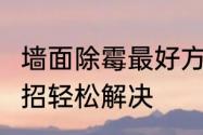 墙面除霉最好方法　墙壁发霉6个小妙招轻松解决