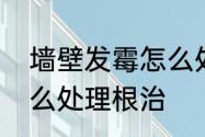 墙壁发霉怎么处理根治　墙壁发霉怎么处理根治