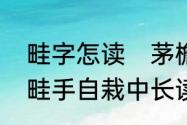 畦字怎读　茅檐长扫净无苔，花木成畦手自栽中长读什么，畦读音