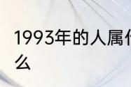 1993年的人属什么　1993年的人属什么