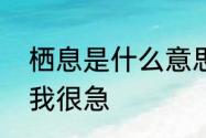 栖息是什么意思　栖息的意思是什么我很急