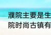 濮院主要是生产什么　濮院古镇和濮院时尚古镇有区别吗