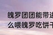 魄罗团团能带进大乱斗吗　大乱斗怎么喂魄罗吃饼干