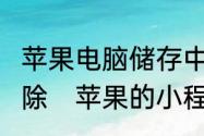 苹果电脑储存中其他是什么?怎么能删除　苹果的小程序怎么删除