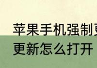 苹果手机强制更新系统怎么解决　ios更新怎么打开