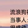 流浪狗被投喂后跑5公里外等待恩人 当事人：这么冷的天它一直在那等，很感动