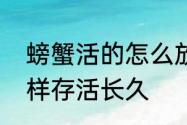 螃蟹活的怎么放的长久　活飞蟹怎么样存活长久