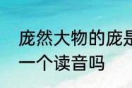 庞然大物的庞是什么意思　厐和庞是一个读音吗