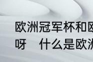 欧洲冠军杯和欧洲联盟杯有什么区别呀　什么是欧洲冠军杯欧洲超级杯