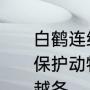 白鹤连续6年湖北赤壁过冬 国家一级保护动物白鹤已连续第六年在东港湖越冬