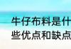 牛仔布料是什么面料　牛仔布料有哪些优点和缺点呢