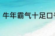 牛年霸气十足口号　牛年正能量口号