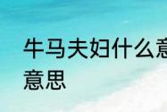 牛马夫妇什么意思　工地牛马是什么意思