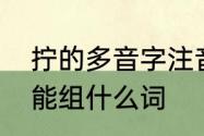 拧的多音字注音并组词　提手旁的拧能组什么词