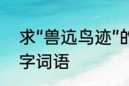 求“兽迒鸟迹”的解释　小鸟很多的四字词语