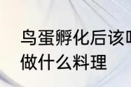 鸟蛋孵化后该吃什么　饥荒高脚鸟蛋做什么料理