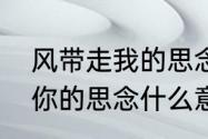 风带走我的思念文案　风带走了我对你的思念什么意思