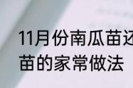 11月份南瓜苗还可以吃吗　广西南瓜苗的家常做法