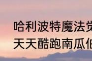 哈利波特魔法觉醒南瓜田地精怎么过　天天酷跑南瓜伯爵怎么合成