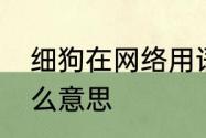 细狗在网络用语啥意思　细狗成精什么意思