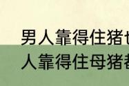 男人靠得住猪也会上树搞笑文案　男人靠得住母猪都上树幽默回复