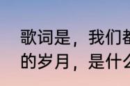 歌词是，我们都已错过，那相知相伴的岁月，是什么歌