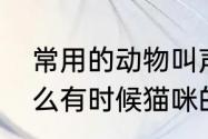 常用的动物叫声拟声词有什么　为什么有时候猫咪的叫声很像说人话