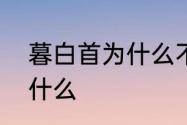 暮白首为什么不吸引人　暮白首讲了什么