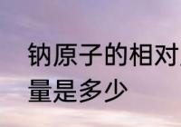 钠原子的相对质量　钠的相对分子质量是多少