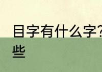 目字有什么字?　带有目字旁的字有哪些