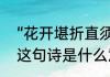 “花开堪折直须折，莫待无花空折枝”这句诗是什么意思