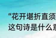 “花开堪折直须折，莫待无花空折枝”这句诗是什么意思