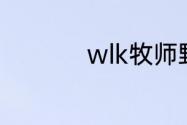 wlk牧师野外练级天赋