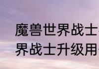 魔兽世界战士名字霸气名字　魔兽世界战士升级用什么技能