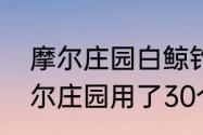 摩尔庄园白鲸钓多久可以　为什么摩尔庄园用了30个网都钓不出白鲸