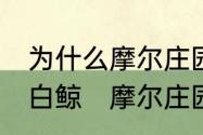 为什么摩尔庄园用了30个网都钓不出白鲸　摩尔庄园白金飞艇怎么获得