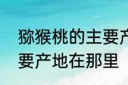 猕猴桃的主要产地是哪里　猕猴桃主要产地在那里