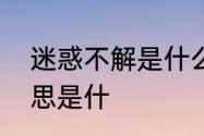 迷惑不解是什么意思　迷惑不解的意思是什