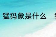 猛犸象是什么　猛犸象的寓意和象征