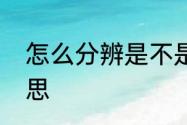 怎么分辨是不是真猛犸　猛犸什么意思