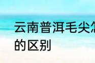 云南普洱毛尖怎样　汉中仙毫和毛尖的区别