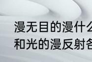 漫无目的漫什么意思　光的镜面反射和光的漫反射各自有什么应用意义