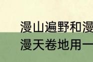 漫山遍野和漫天卷地的意思一样吗　漫天卷地用一个字来形容