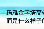 玛雅金字塔高多少米　玛雅金字塔里面是什么样子的